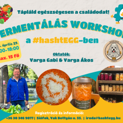 Fermentálás Workshop a #hashtEGG-ben