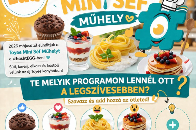ÚJ! Toyee Séf Gasztro – Tematikus Születésnap